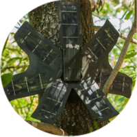 Impact Gallery Image