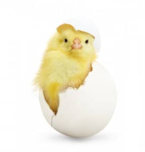 shutterstock_187617449