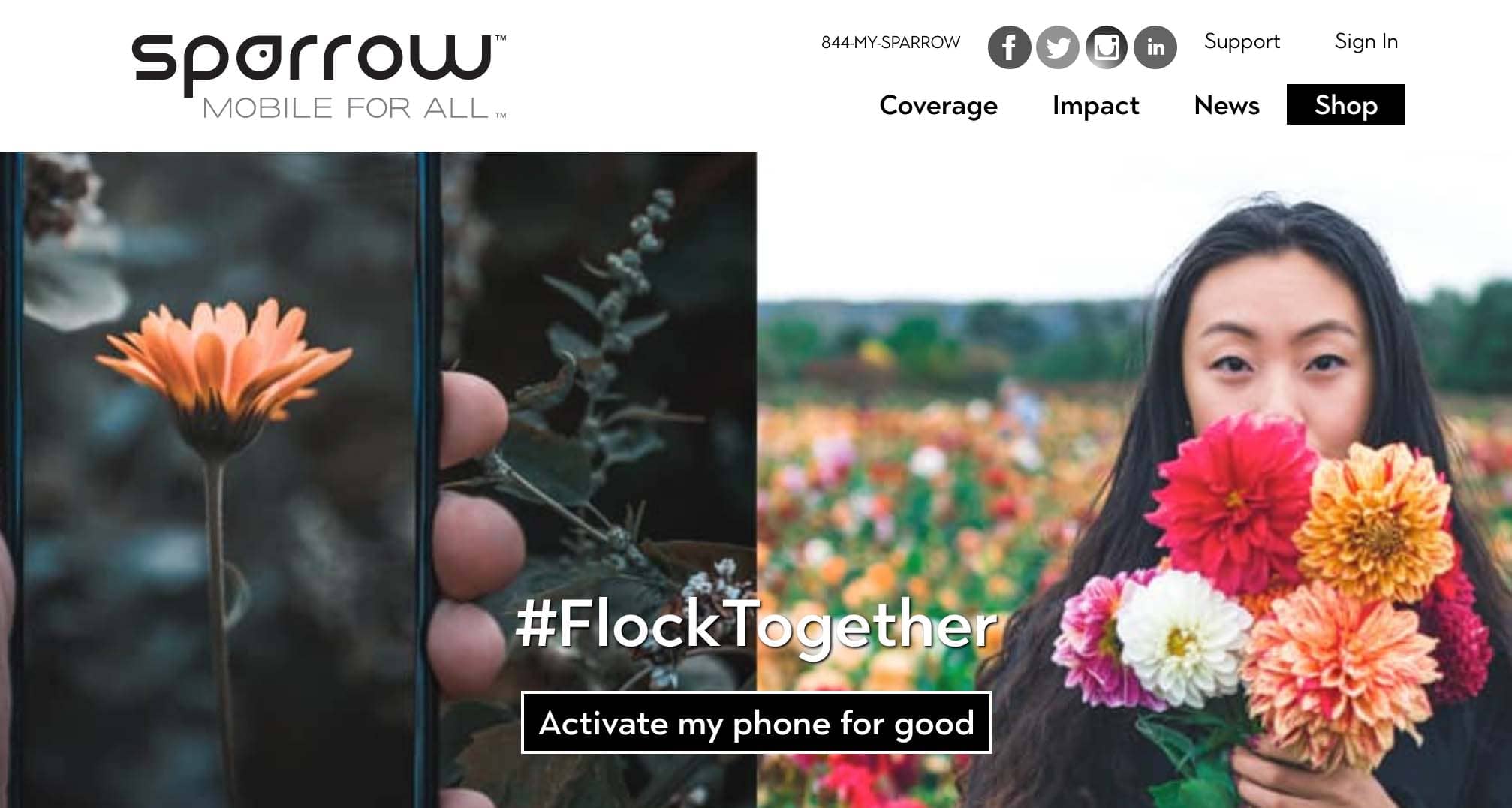 sparrow website home page